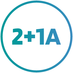 1+1A